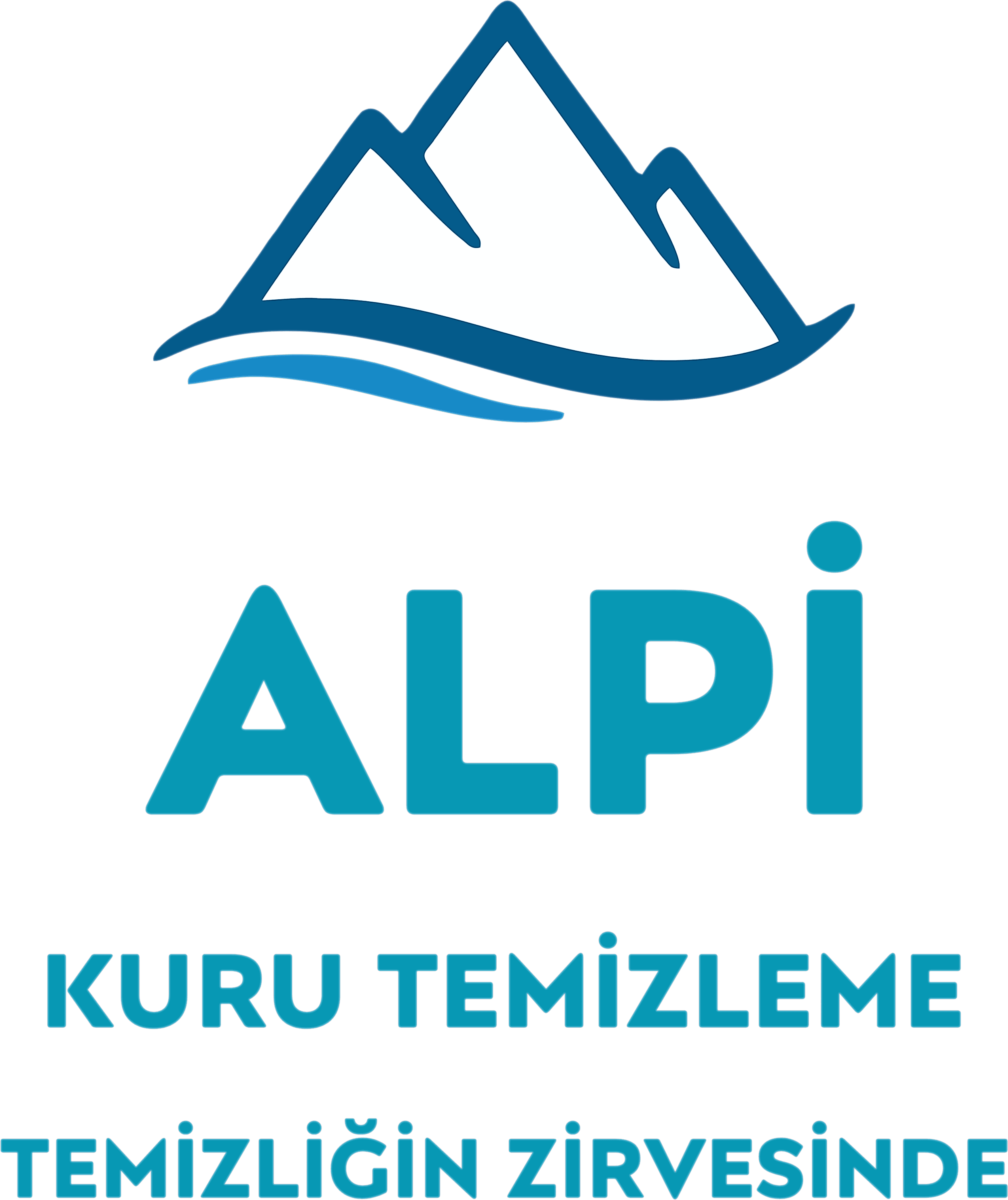 Alpi Kuru Temizleme